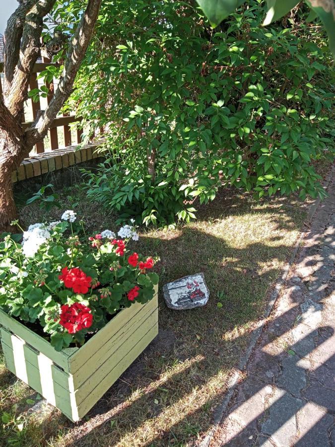 Cichy Zakatek Lejlighed Sianozety Eksteriør billede